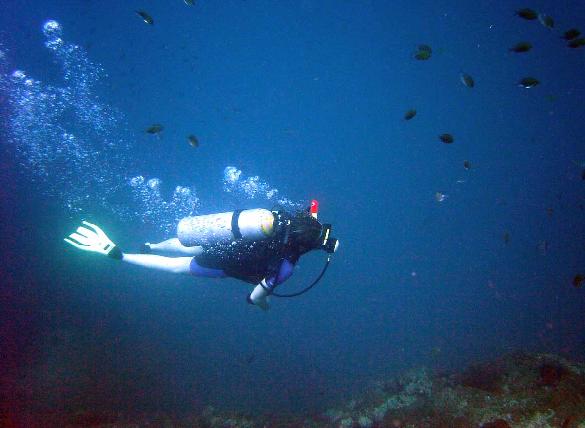 Scuba Diving Hole In The Wall Marion Bay Yorke Peninsula South