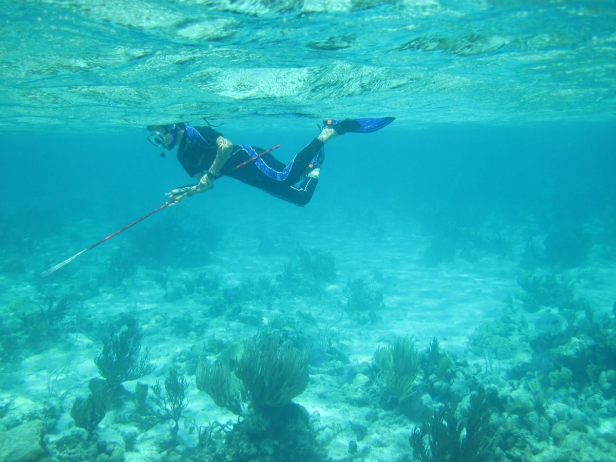 Spearfishing Ardrossan Barge Yorke Peninsula South Australia Australia