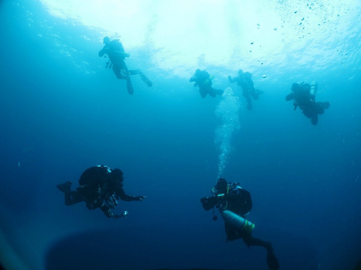 Scuba Diving South Australian Wreck Wardang Island South Australia Australia