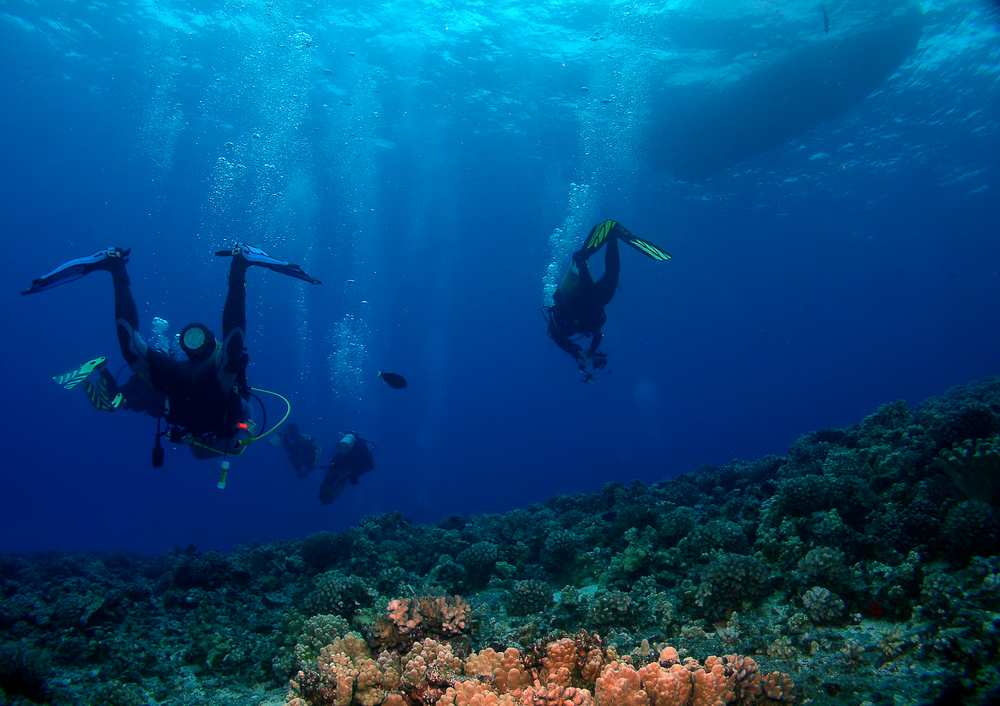 Scuba Diving Alua Beach Kailua Kona Hawaii USA