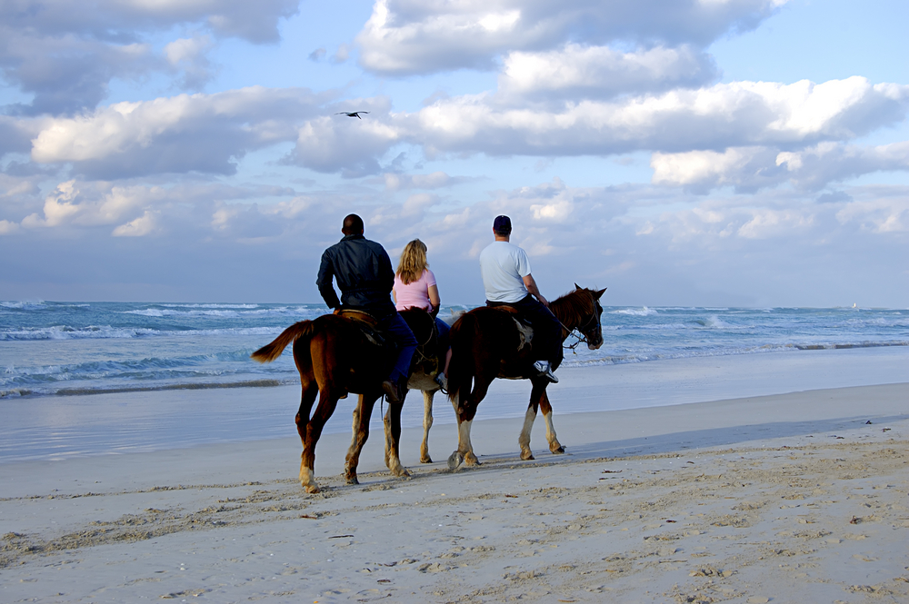 Horseback Riding Waipio Valley Honokaa Hawaii USA