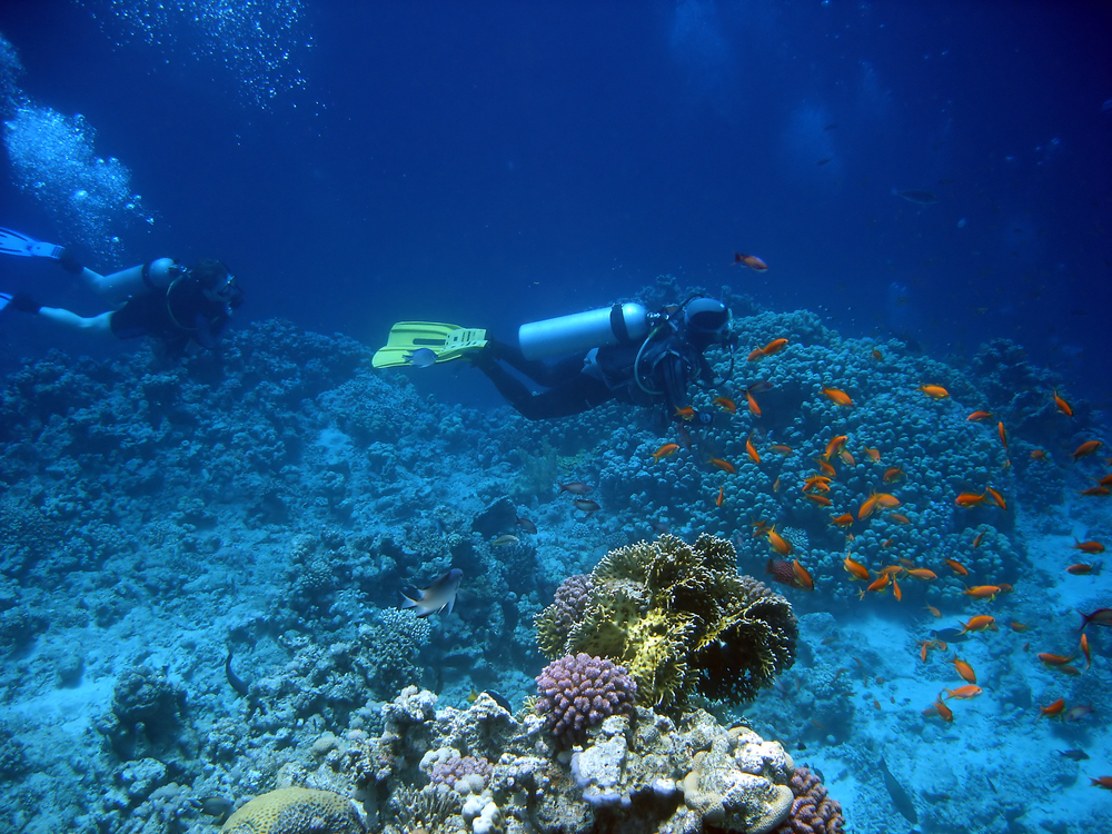 Scuba Diving Kailua Bay Kailua Kona Hawaii USA