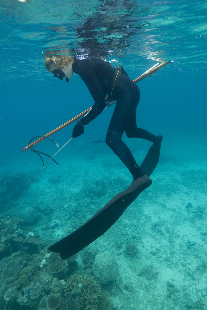 Spearfishing Kealakekua Bay Kailua Kona Hawaii USA