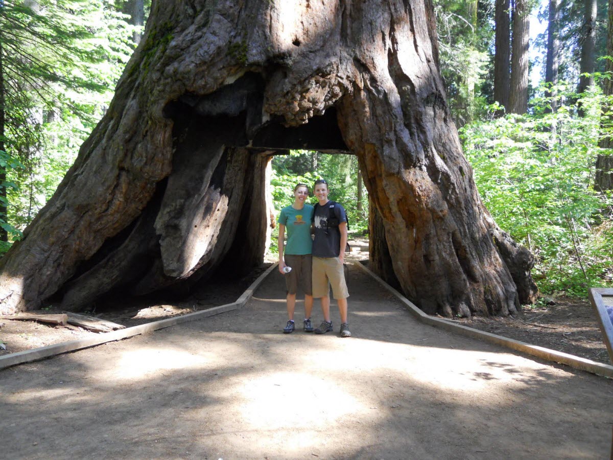 Extreme HikingHiking Calaveras Big Trees State Park Angels Camp