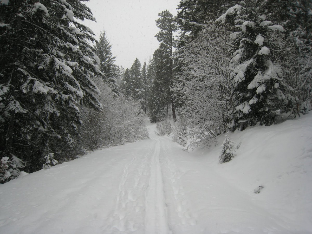 Snowmobiling Blewett Pass Wenatchee Washington USA