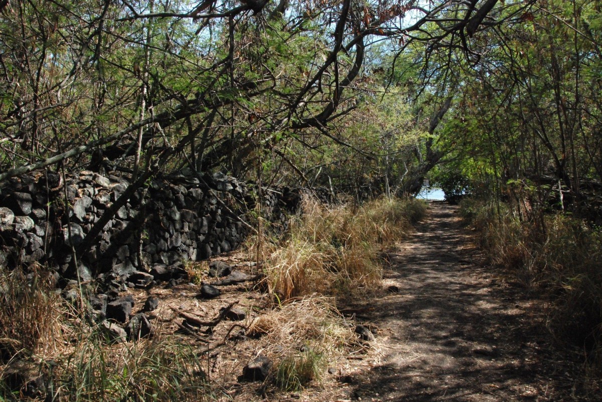 Extreme Hiking Captain Cook Monument Trail Kailua Kona Hawaii USA