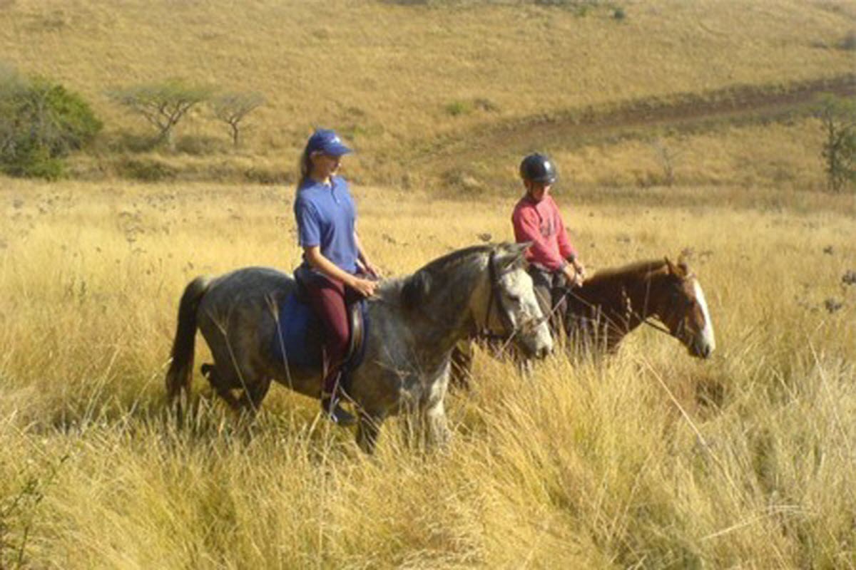 Horseback Riding Langebaan Lagoon Cape Town Western Cape South Africa