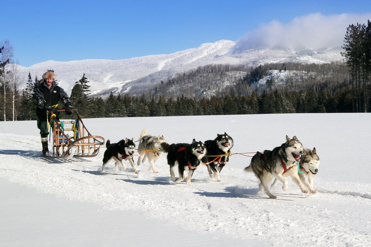 sledding canada sledding mont tremblant laurentian mountains canada sledding canada sledding mont tremblant laurentian mountains canada
