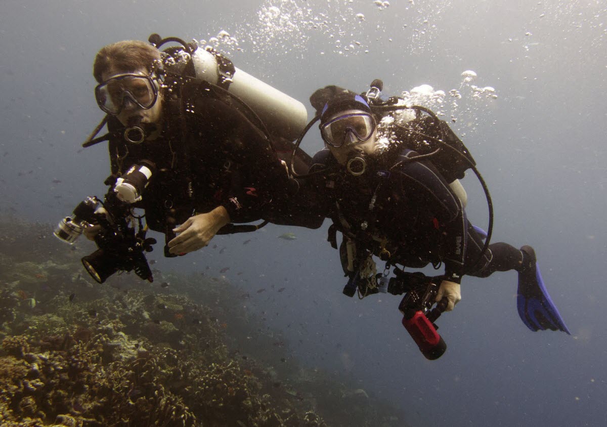 Scuba Diving Bare Island Sydney New South Wales Australia