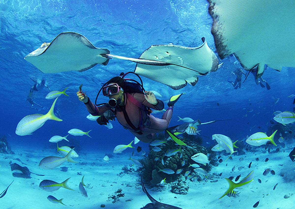 Scuba Diving Voodoo Kurnell New South Wales Australia