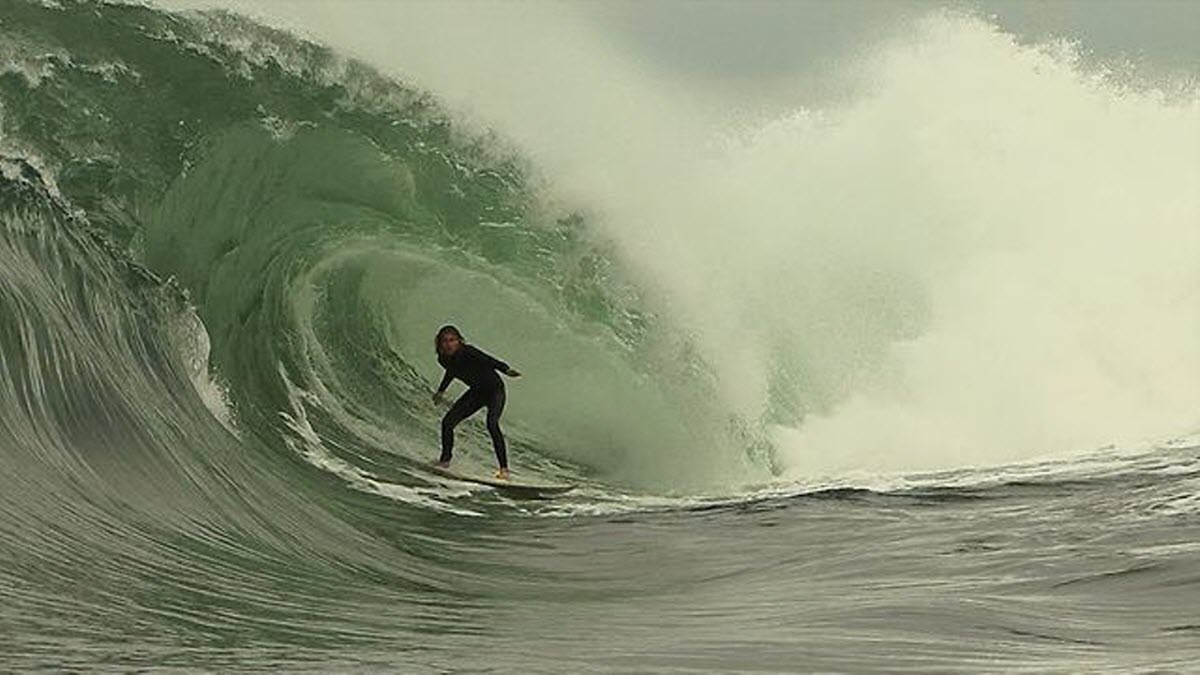 Surfing Shark Island Cronulla Νew South Wales Australia
