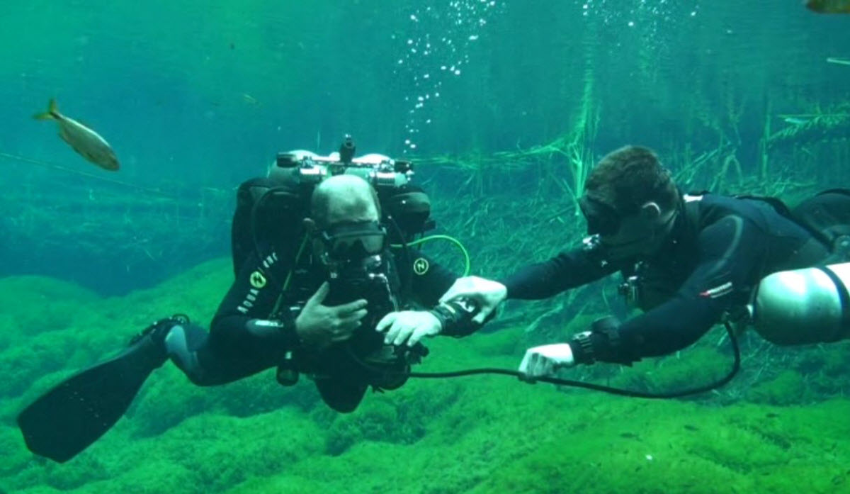Scuba Diving The Steps Kurnell New South Wales Australia