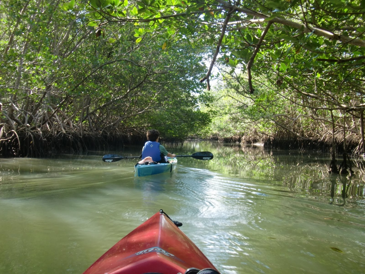 Kayaking Oleta River State Park Miami Florida USA