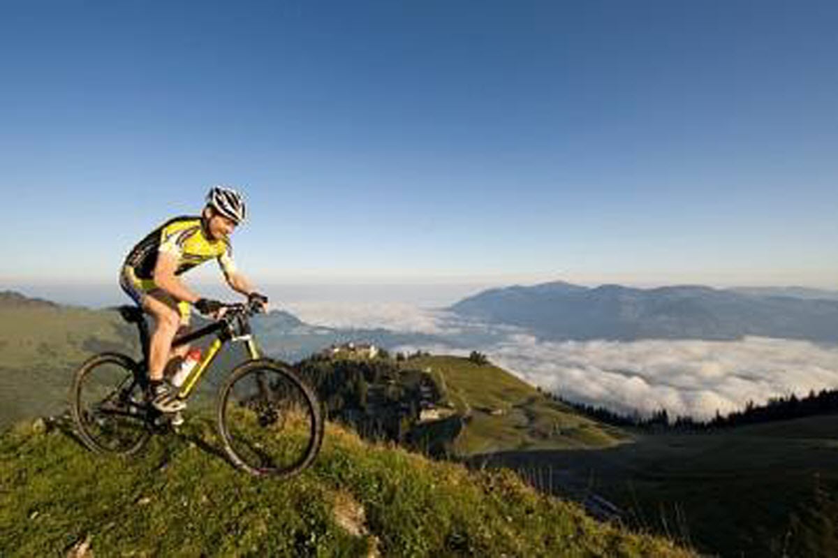 Freeride / Bike Park Mountain Bikes - vitalmtbcom