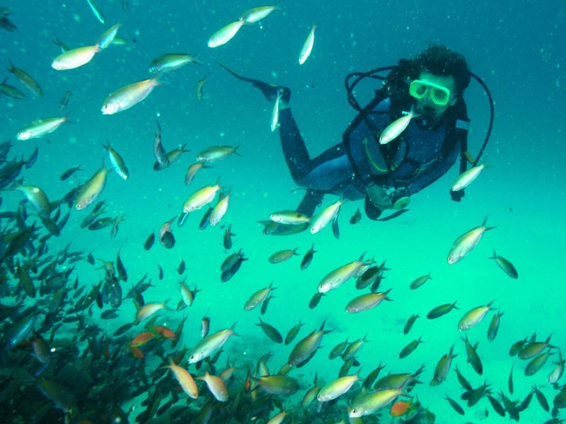 Scuba Diving Pemba Island Zanzibar Tanzania