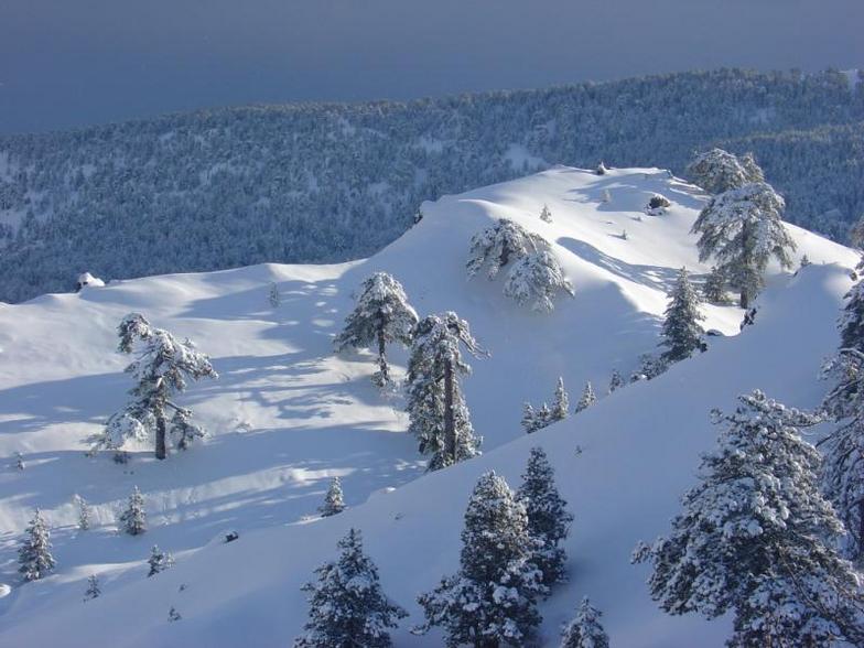 Alpine skiing Mount Olympus Ski Area Troodos Mountains Cyprus