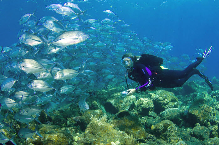 Scuba Diving Lipah Bay Amed Bali Indonesia