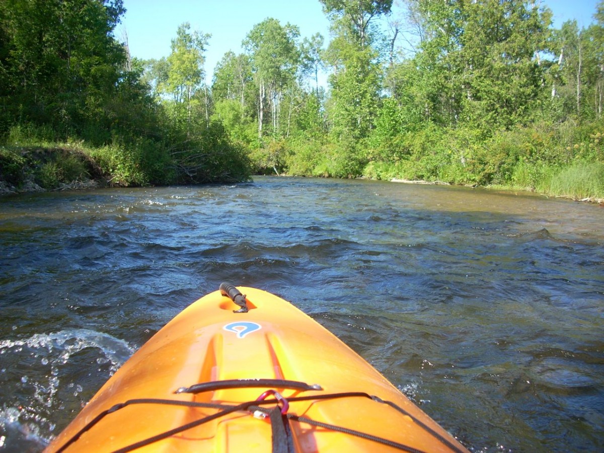 Kayaking Sturgeon River Cheboygan County Michigan USA
