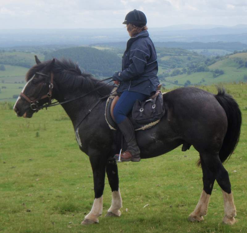 Horseback Riding Springhill Farm Riding Stables Oswestry Wales United