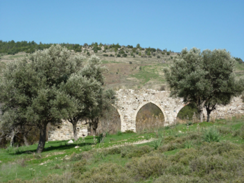 "Cyprus Walks Etc 11"