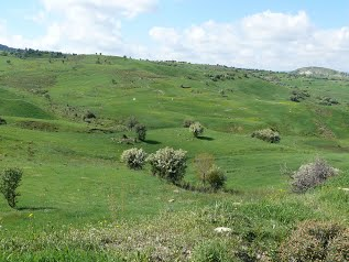 "Cyprus Walks Etc 12"