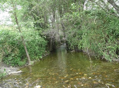 "Cyprus Walks Etc 18"