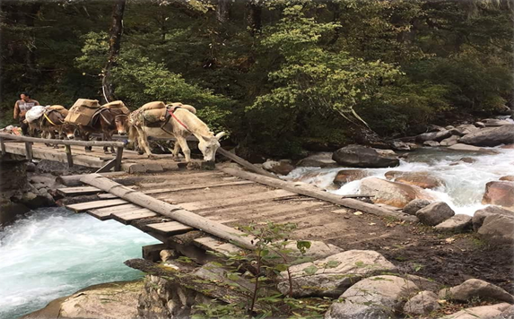 "Colorful Bhutan Travels 12"