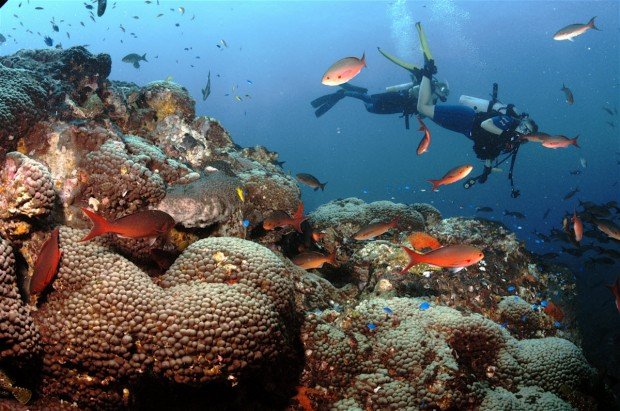 "Bazaruto Island Scuba Diving"