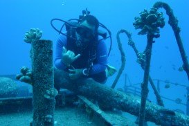 Clan Ranald Wreck, Yorke Peninsula