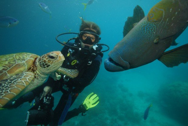 "Scuba Diving Stenhouse Bay"
