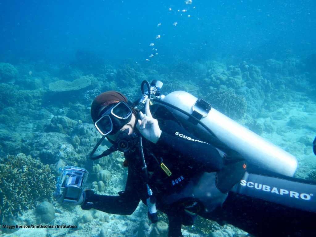 Scuba Diving Stony Point Whyalla South Australia Australia