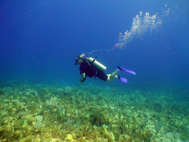 "Scuba diving Stony Point"