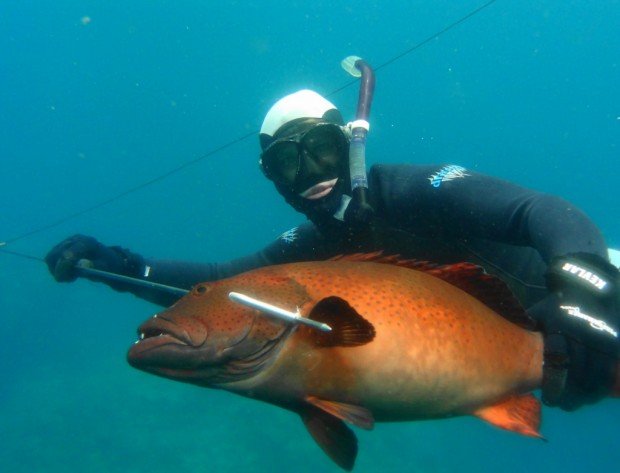 "Spearfishing Point Lowly"