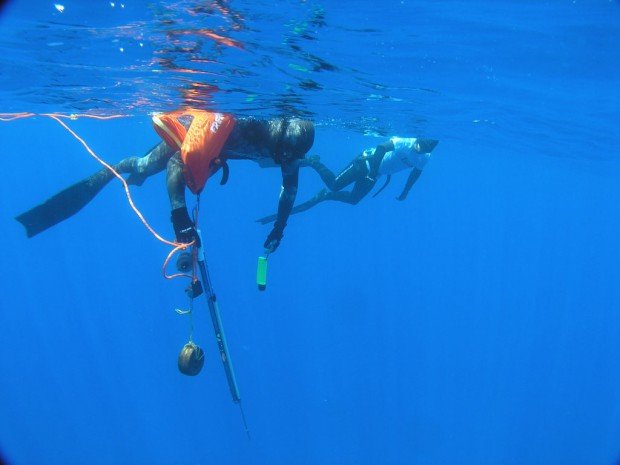 "Spearfishing Stenhouse Bay"