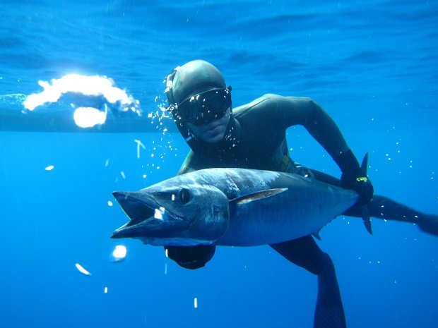 "Spearfishing Stony Point"