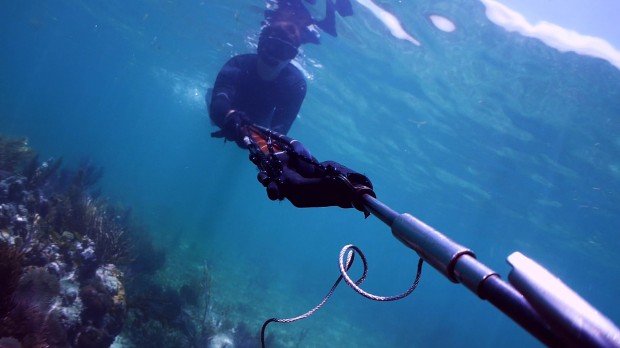 "spearfishing Edithburgh Jetty"