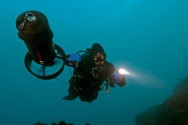 Wedge Island, Spencer Gulf