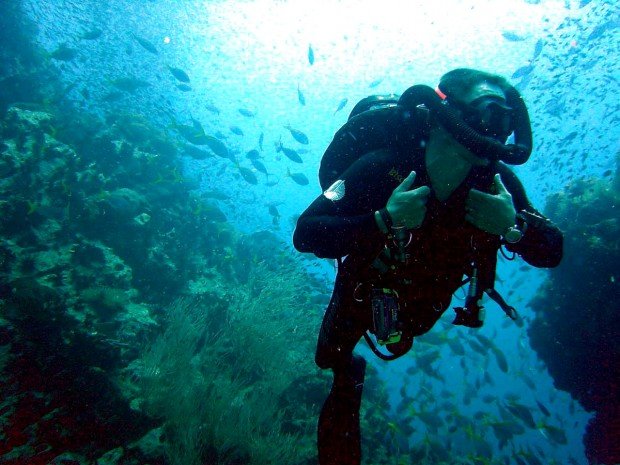 "Diving Wedge Island"