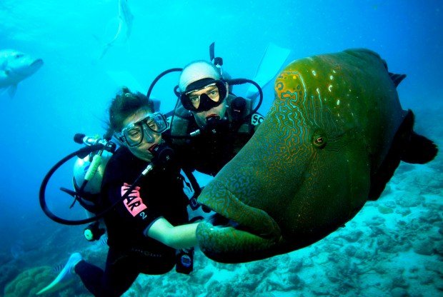 "Scuba Diving Jetty"