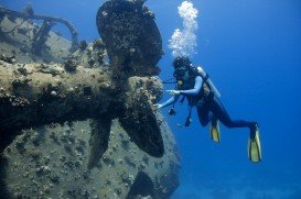 Notre Dame d’Arvor, Wardang Island