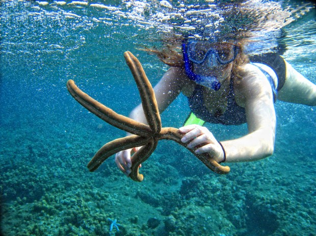 "Snorkeling Moonta Bay"