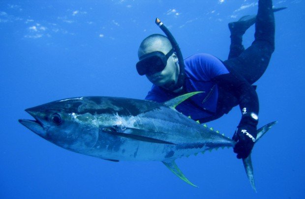 "Spearfishing Hanson Bay"