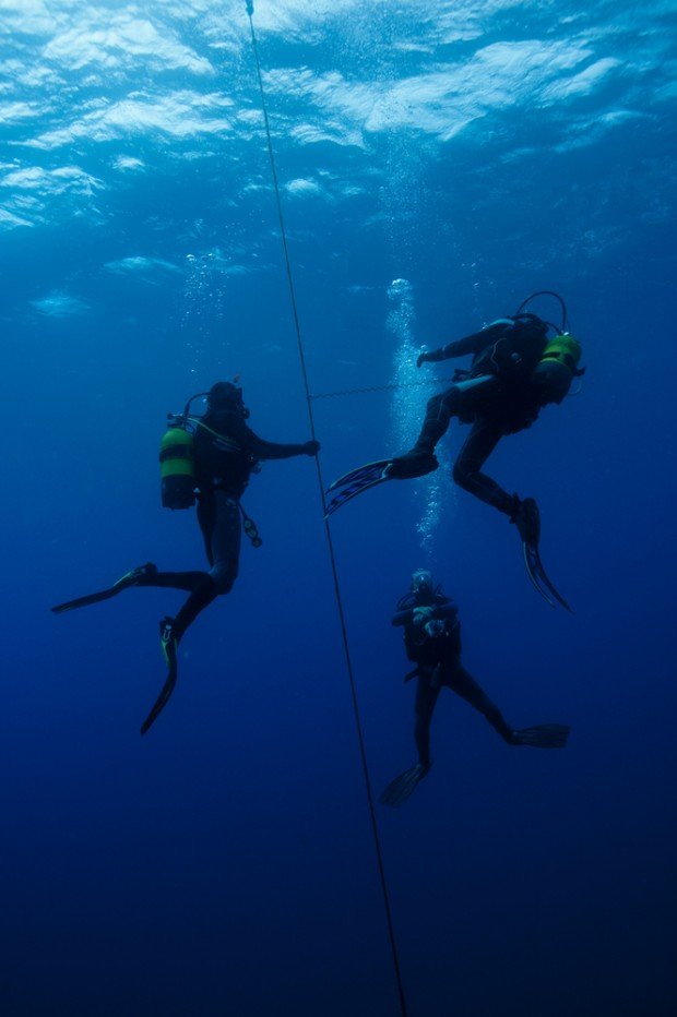 "Vilamoura, Algarve sbuba diving"