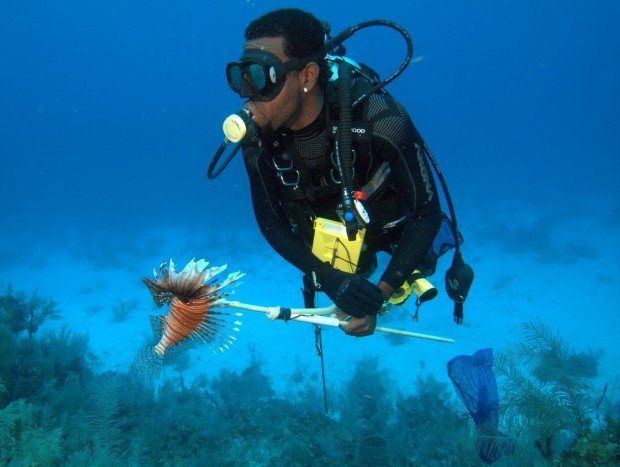 "Whyalla Spearfishing"