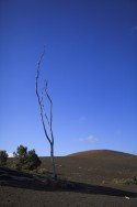 Devastation Trail, Volcano National Park