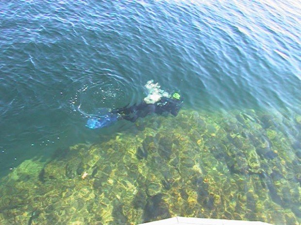 "Scuba Diving at Rockport