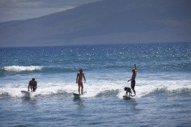 Honolii Beach, Hilo