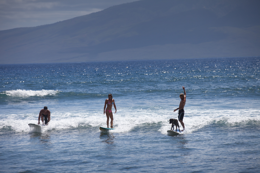 Surfing in Honolii Beach Hilo Hawaii USA.