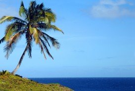 Pohoiki Bay, Puna