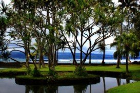 Richardson’s Beach, Hilo